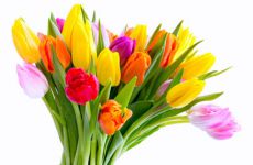 Elternwerksattt empfiehlt!